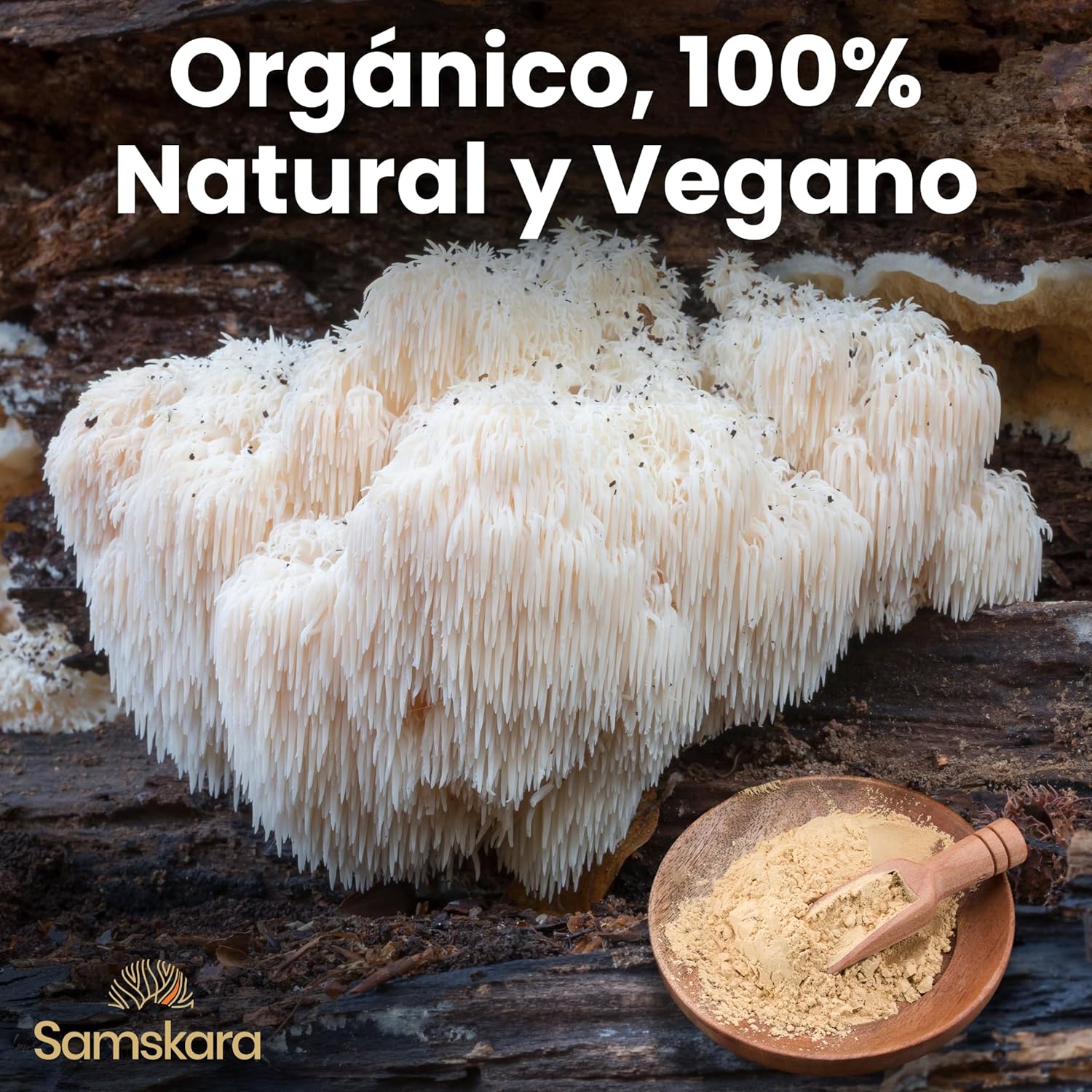 Samskara Complejo de Setas Hongos Medicinales en Polvo BIO | Reishi, Chaga, Maitake, Shiitake, Cordyceps, Melena de León | Mushroom Complex con Minerales | Frescura Garantizada (100 gr, Sin sabor) - Imagen 3